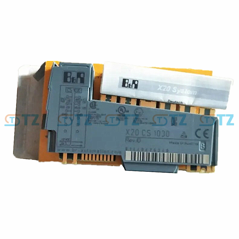 X20CS1020 module